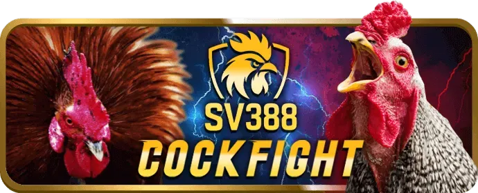 Bảo mật và giao dịch Pun88